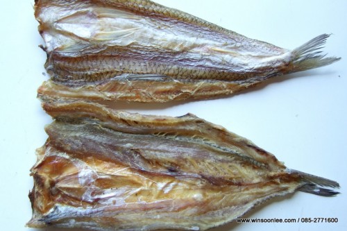 Dried Snake-head Fish ( Splitted )