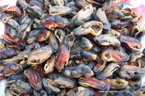 Dried Boiled Green Mussel ( Whole )